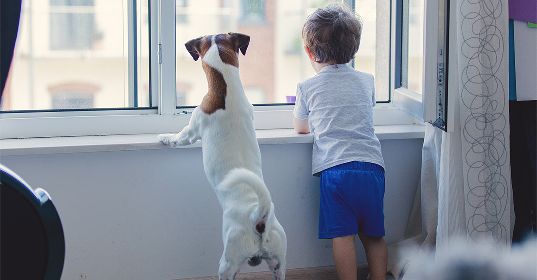 kleiner Junge in Sommerkleidung und weiß-brauner Terrier von hinten stützen sich an Fensterbrett ab und schauen hinaus
