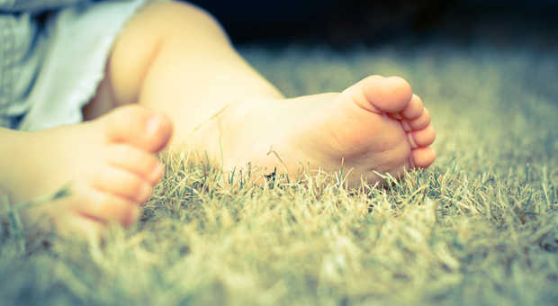 D'Vine Photography/shutterstock.com