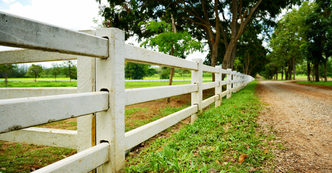 Ein weiß gestrichener Zaun aus Beton trennt Naturstraße und Wiese voneinander ab