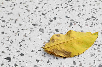 pramot/shutterstock.com